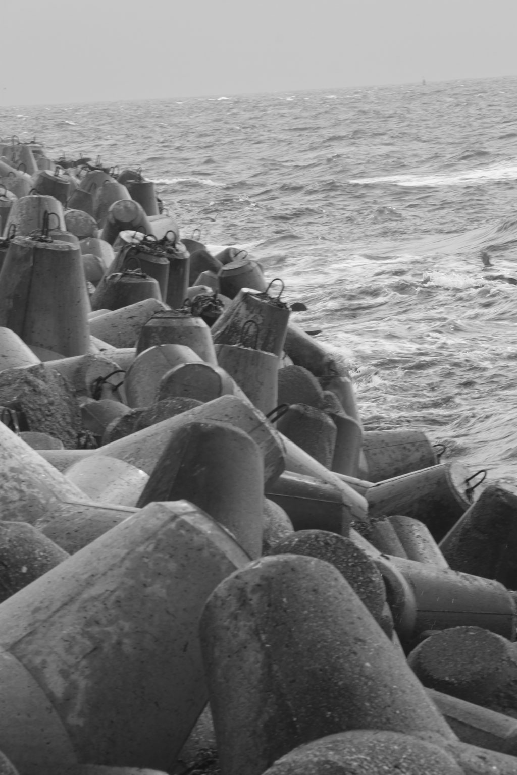 Gallery img 6667.jpg