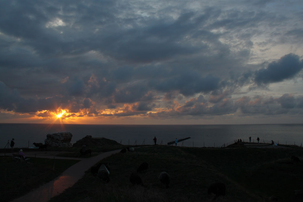 Gallery img 6729.jpg