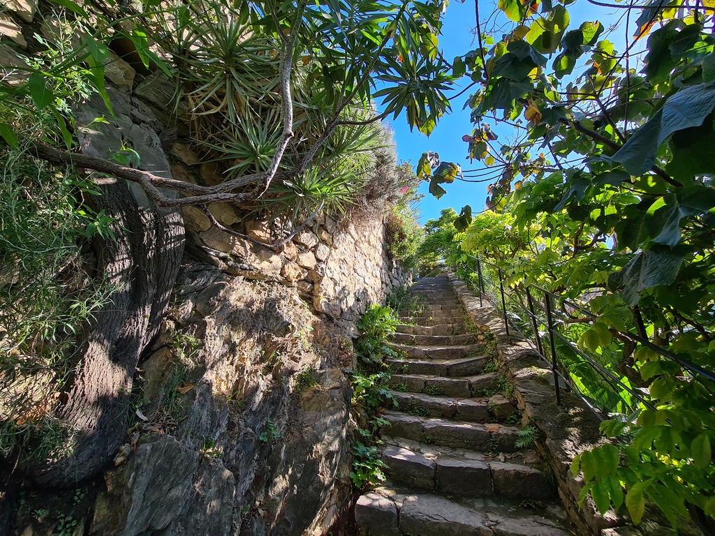 Gallery 20220425 095000.jpg