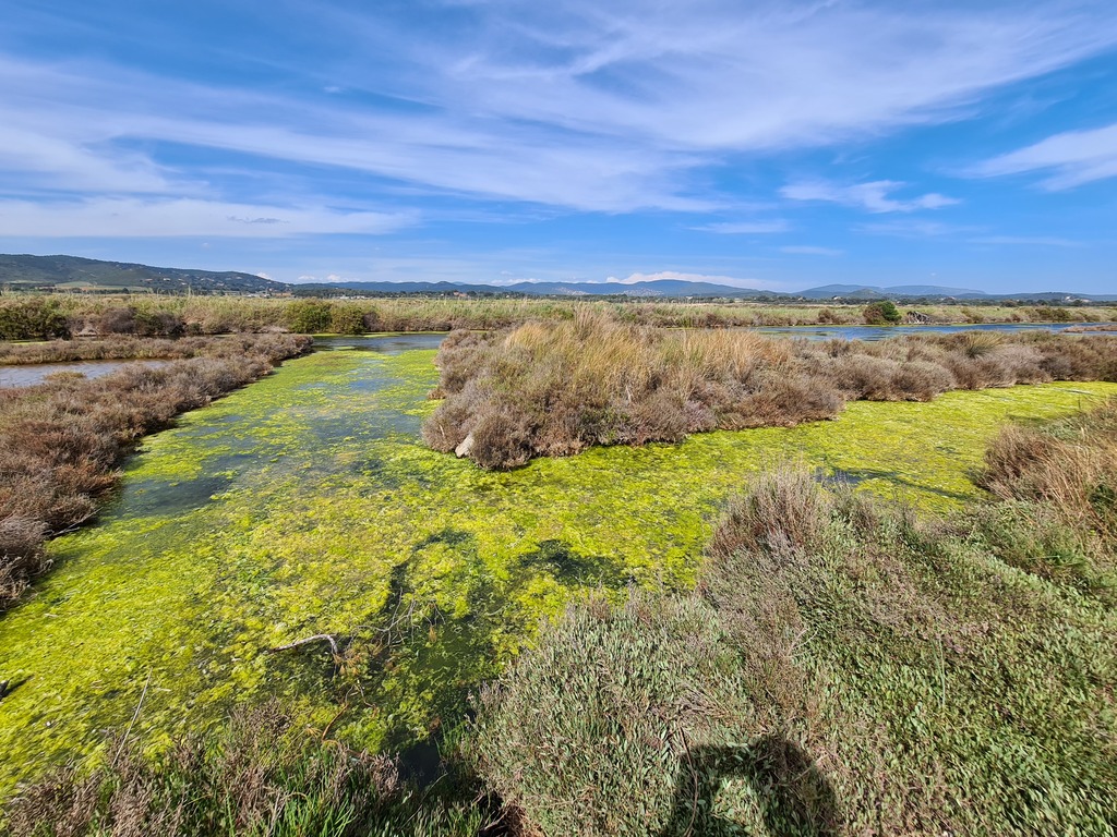 Gallery 20220425 154851.jpg