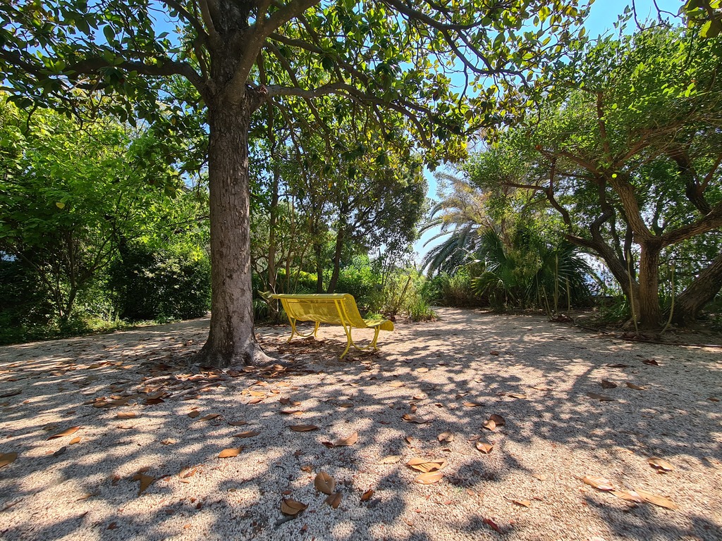 Gallery 20220719 110707.jpg