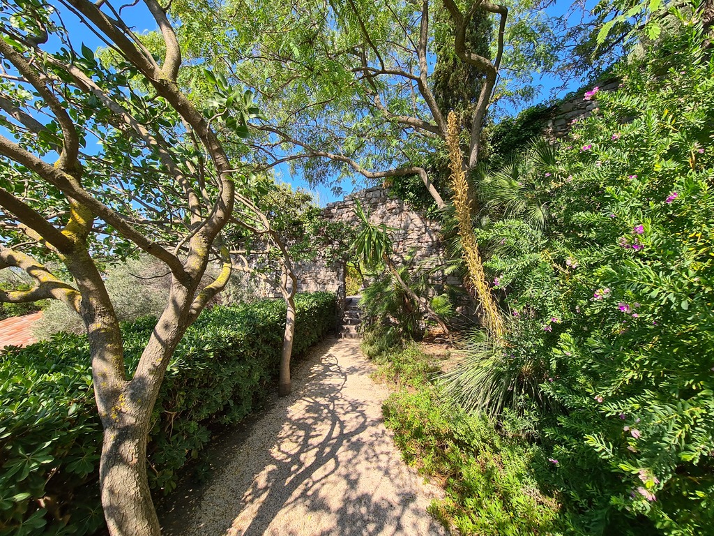 Gallery 20220720 104416.jpg