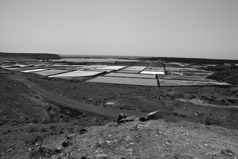 Gallery img 7213.jpg