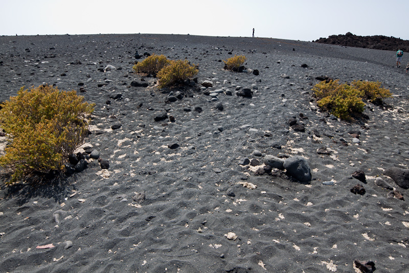 Gallery img 7268.jpg