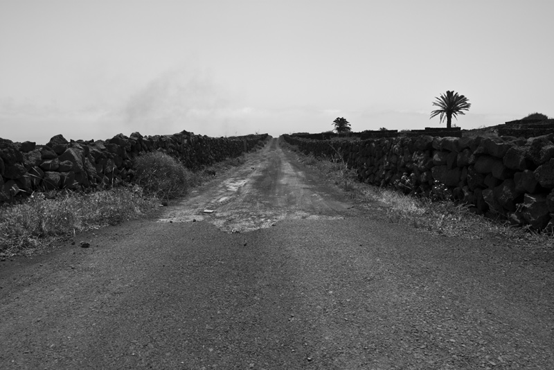 Gallery img 7340.jpg