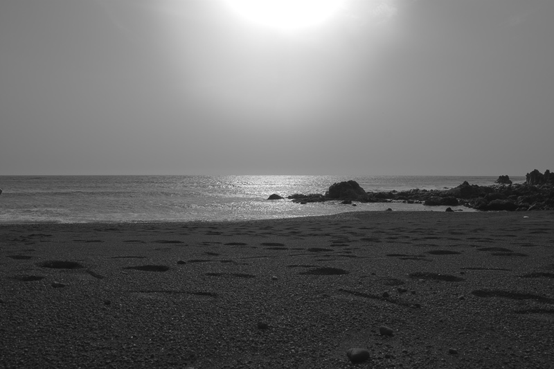 Gallery img 7553.jpg