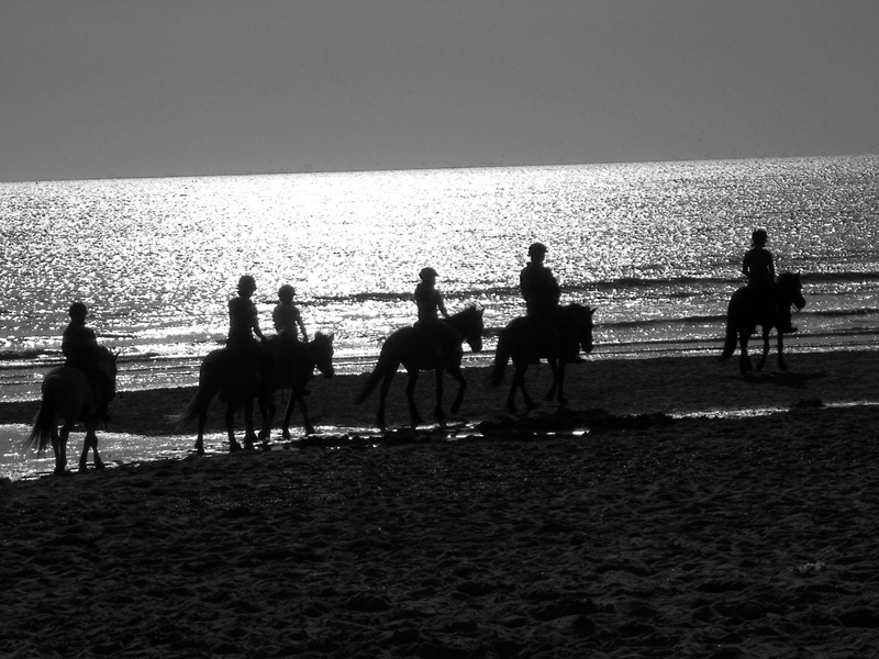 Gallery img 1468bw.jpg