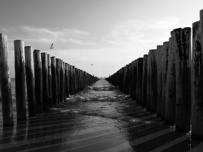 Gallery img 1493bw.jpg