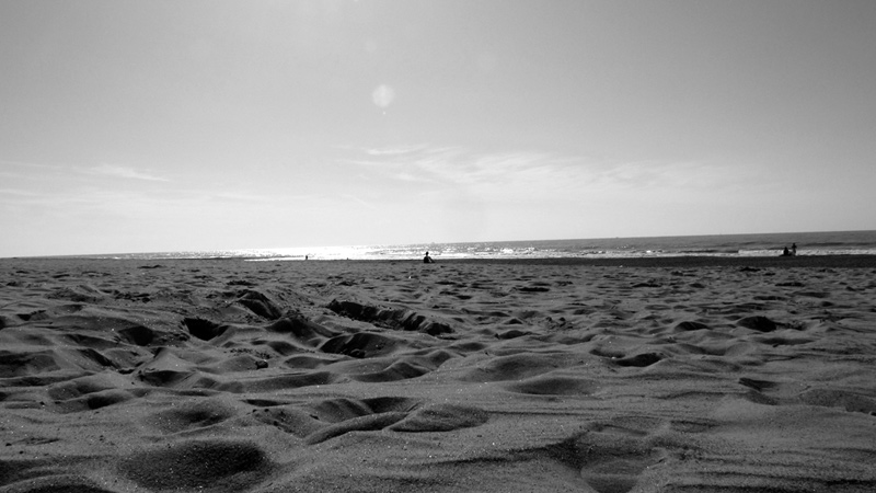 Gallery img 1897b.jpg