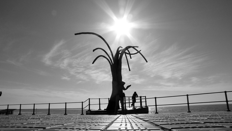 Gallery img 1965.jpg