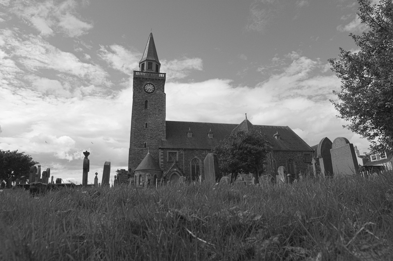 Gallery img 9239.jpg