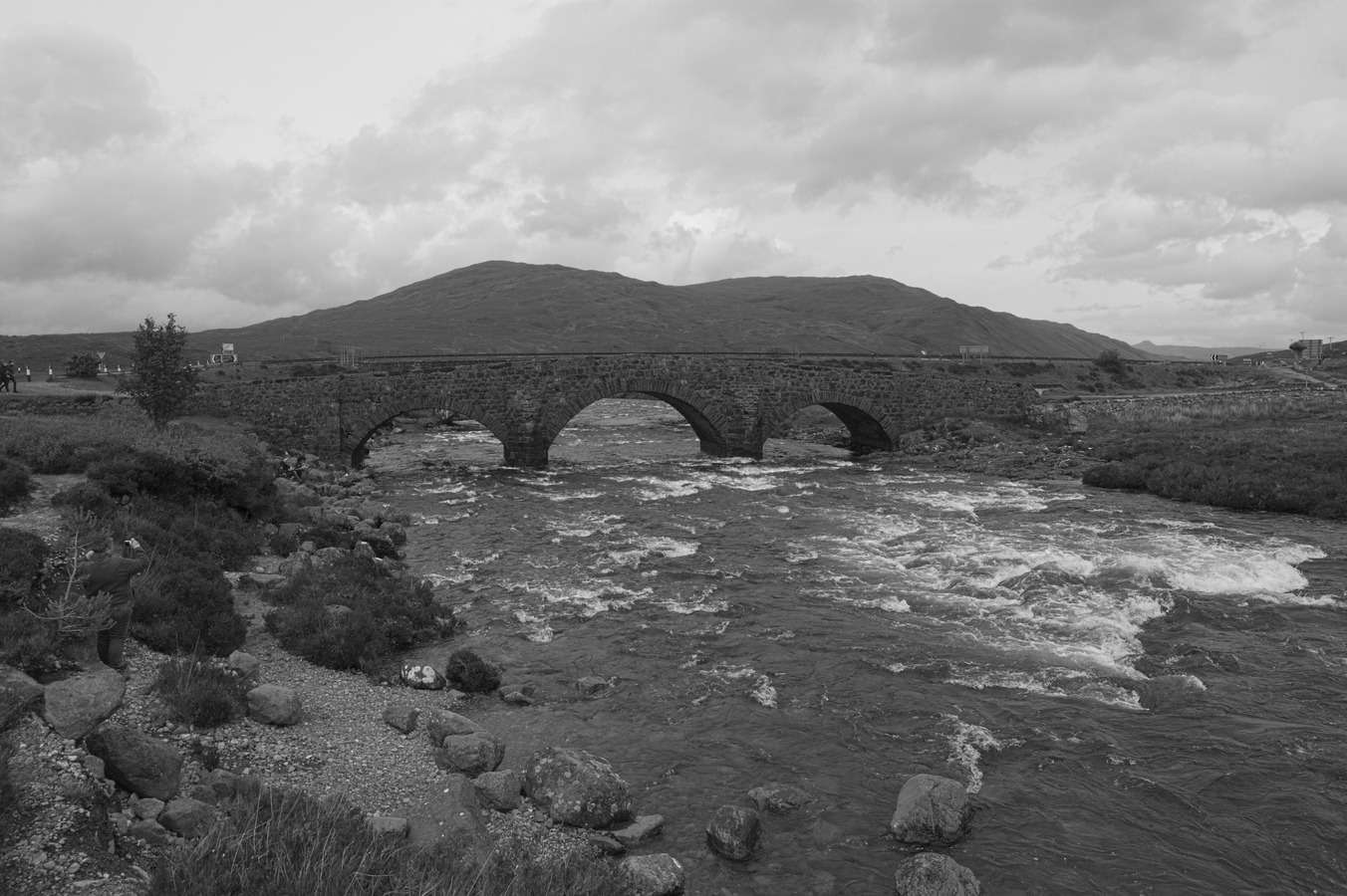 Gallery img 9324.jpg