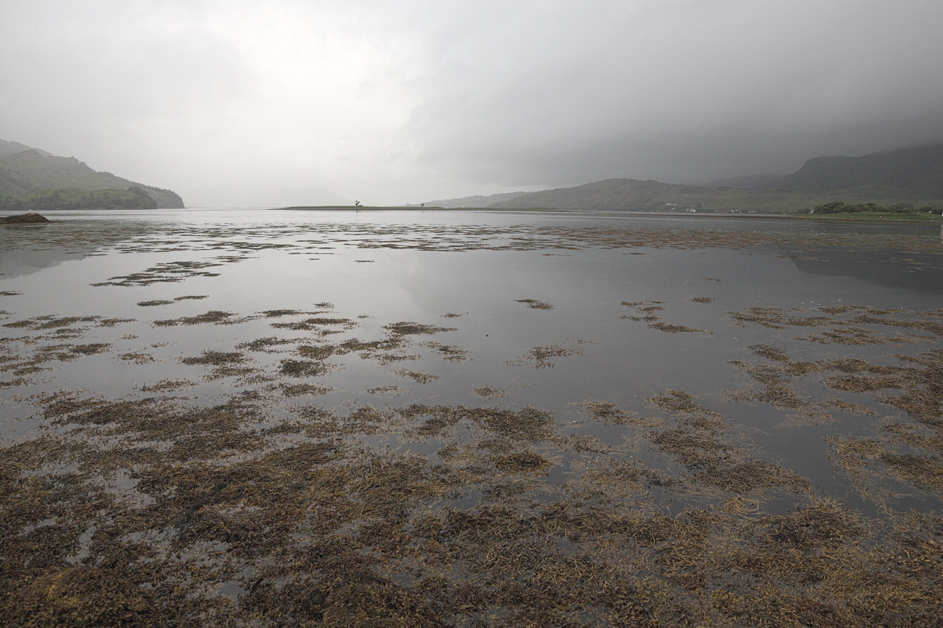 Gallery img 9385.jpg