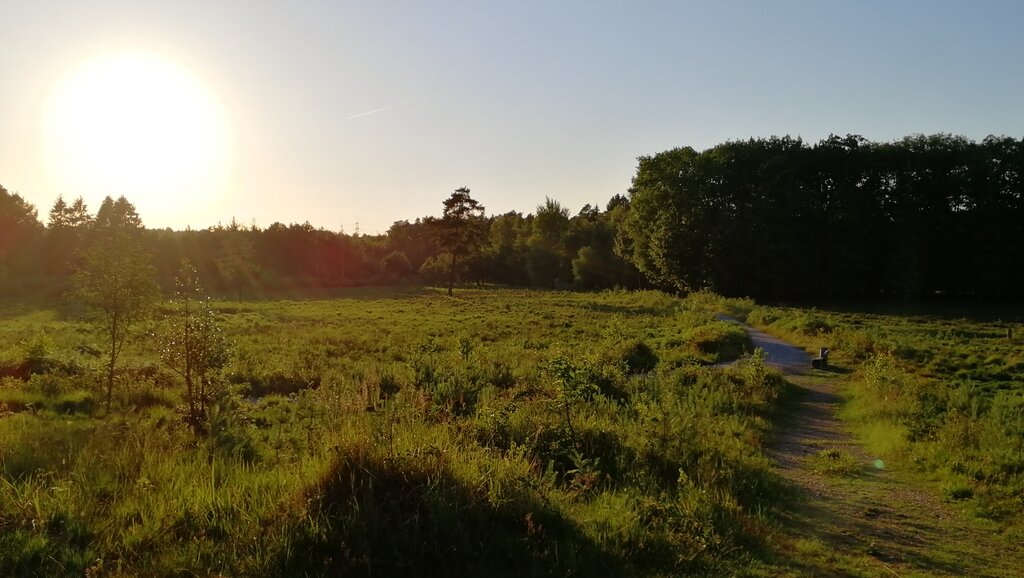 Gallery 15 solingen.jpg