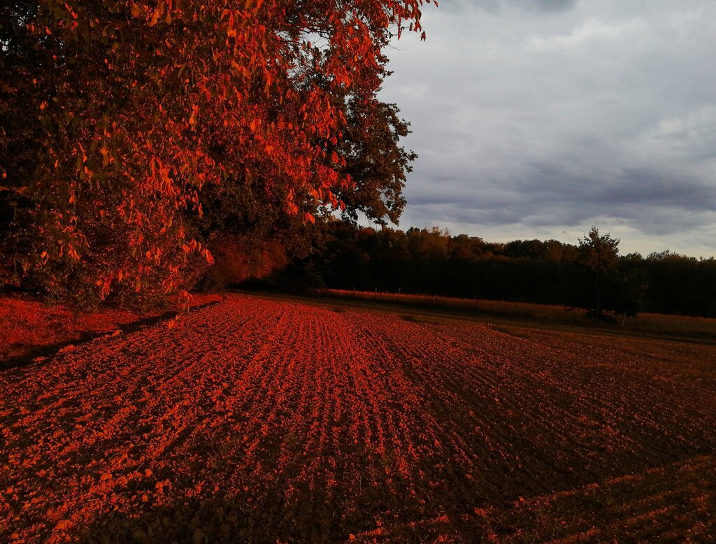 Gallery 18 solingen.jpg