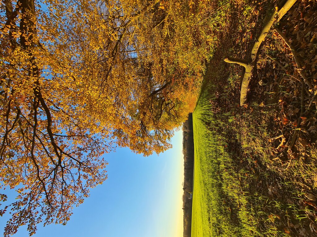 Gallery 3 solingen.jpg