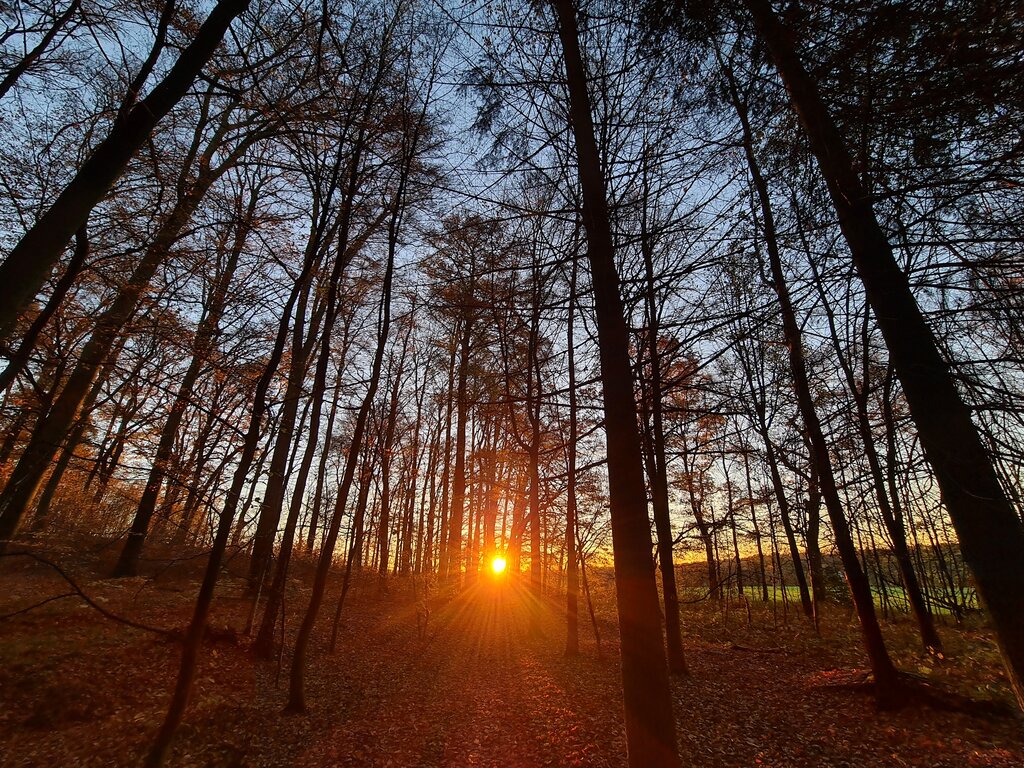 Gallery 4 solingen.jpg