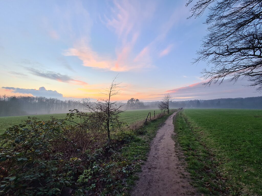 Gallery 7 solingen.jpg