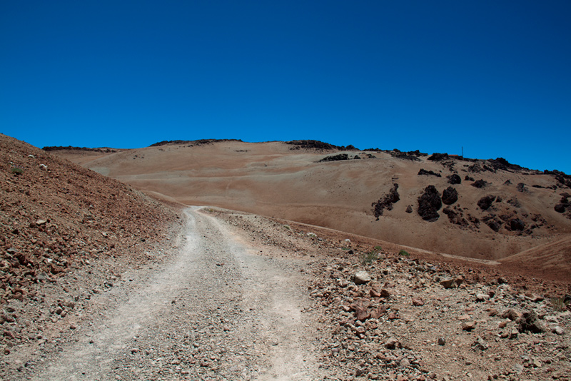 Gallery img 8582.jpg