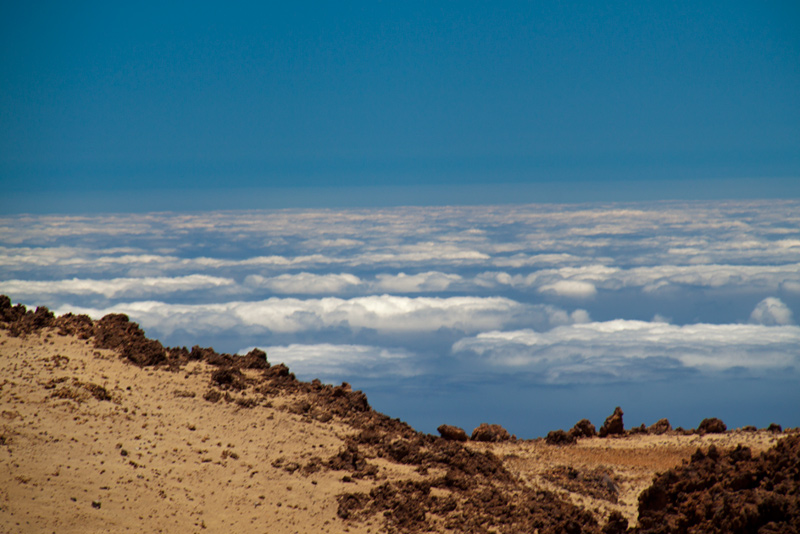 Gallery img 8596.jpg