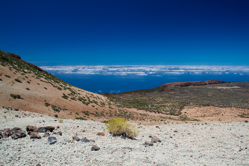 Gallery img 8625.jpg