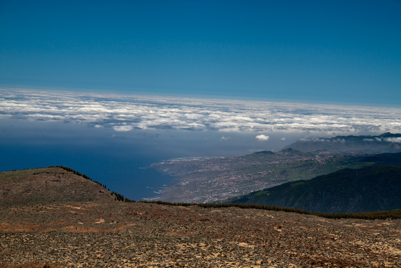 Gallery img 8631.jpg