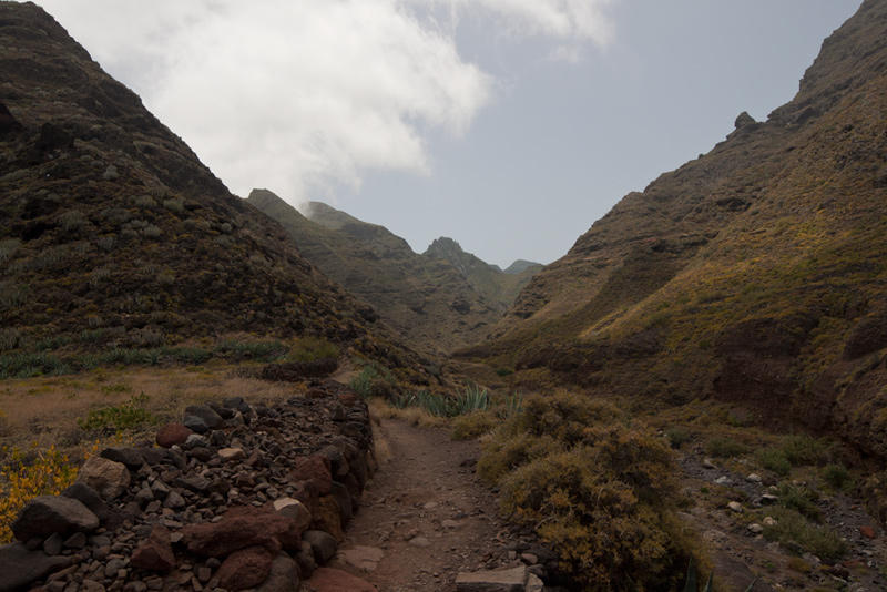 Gallery img 8651.jpg