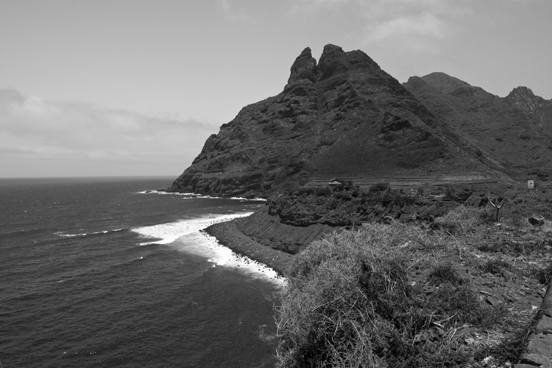 Gallery img 8656.jpg