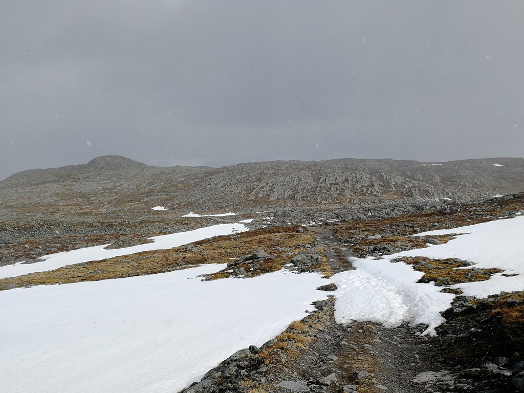 Gallery img 20180606 153733.jpg