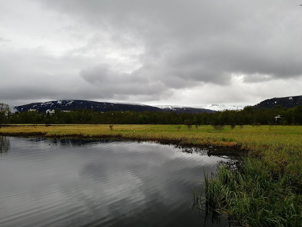 Gallery img 20180609 225514.jpg